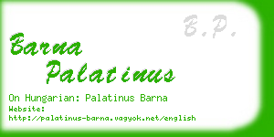 barna palatinus business card